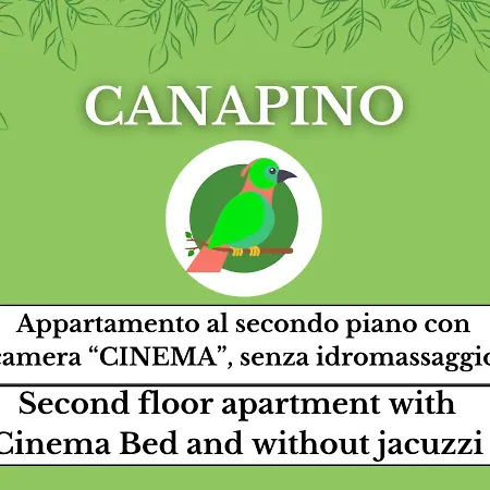 Coccola - Casa vacanze *